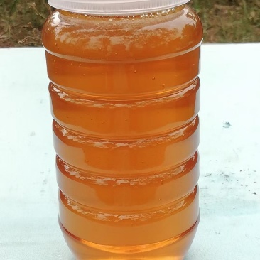秦岭深山土蜂蜜
