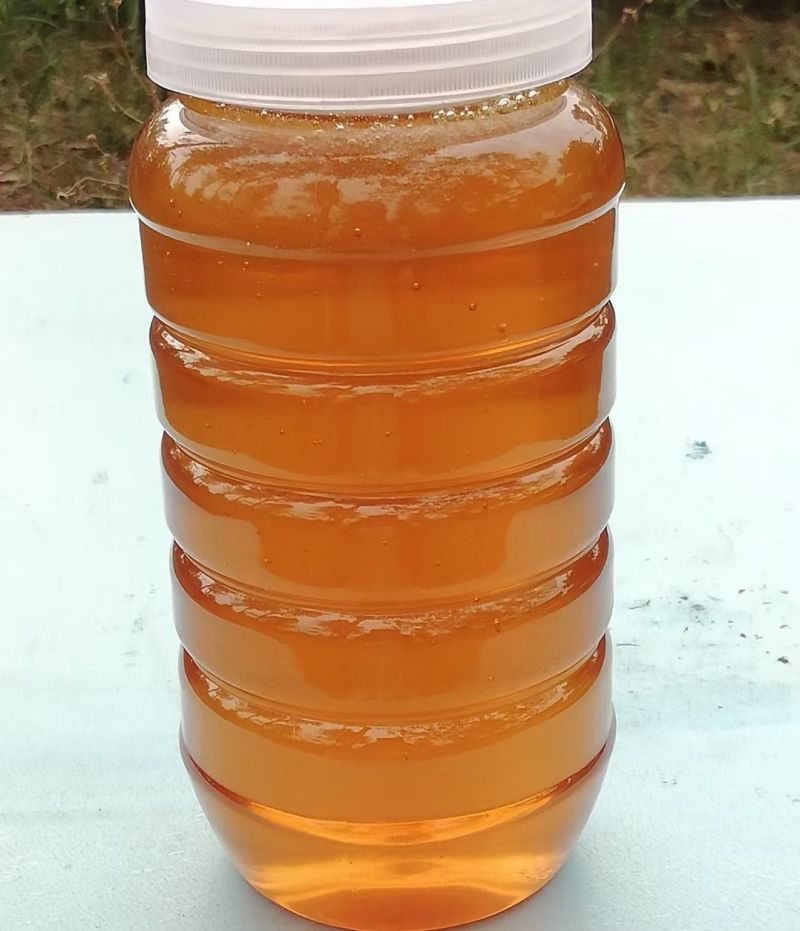 秦岭深山土蜂蜜