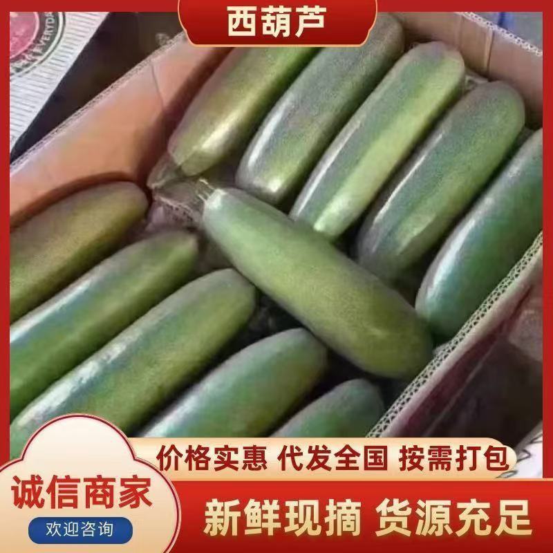 【实力商家】产地直发【保质保量】价格合理【诚信经营】西葫