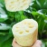 大量批发莲藕鲜货供应