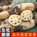 大量批发莲藕鲜货供应