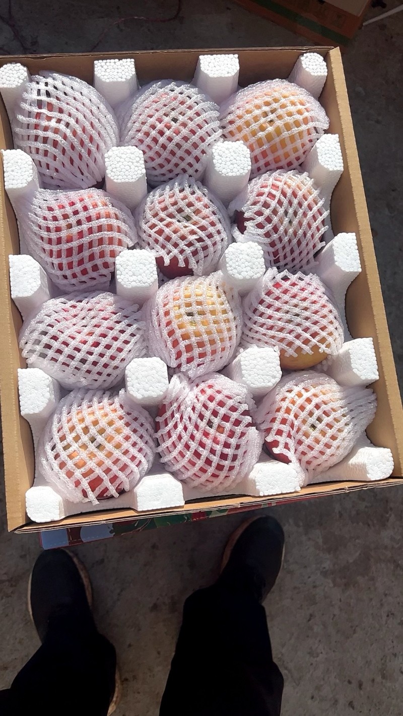 大凉山丑苹果一件代发