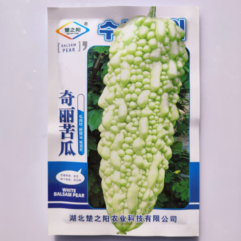 奇丽苦瓜种子杂交一代早熟品种无限生长品种种子