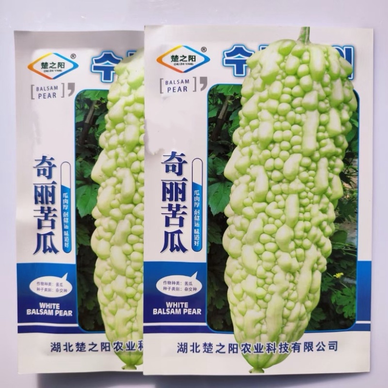 奇丽苦瓜种子杂交一代早熟品种无限生长品种种子