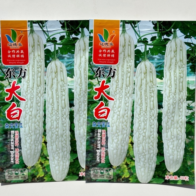 东方大白苦瓜品种种子早熟杂交一代品种种子包邮