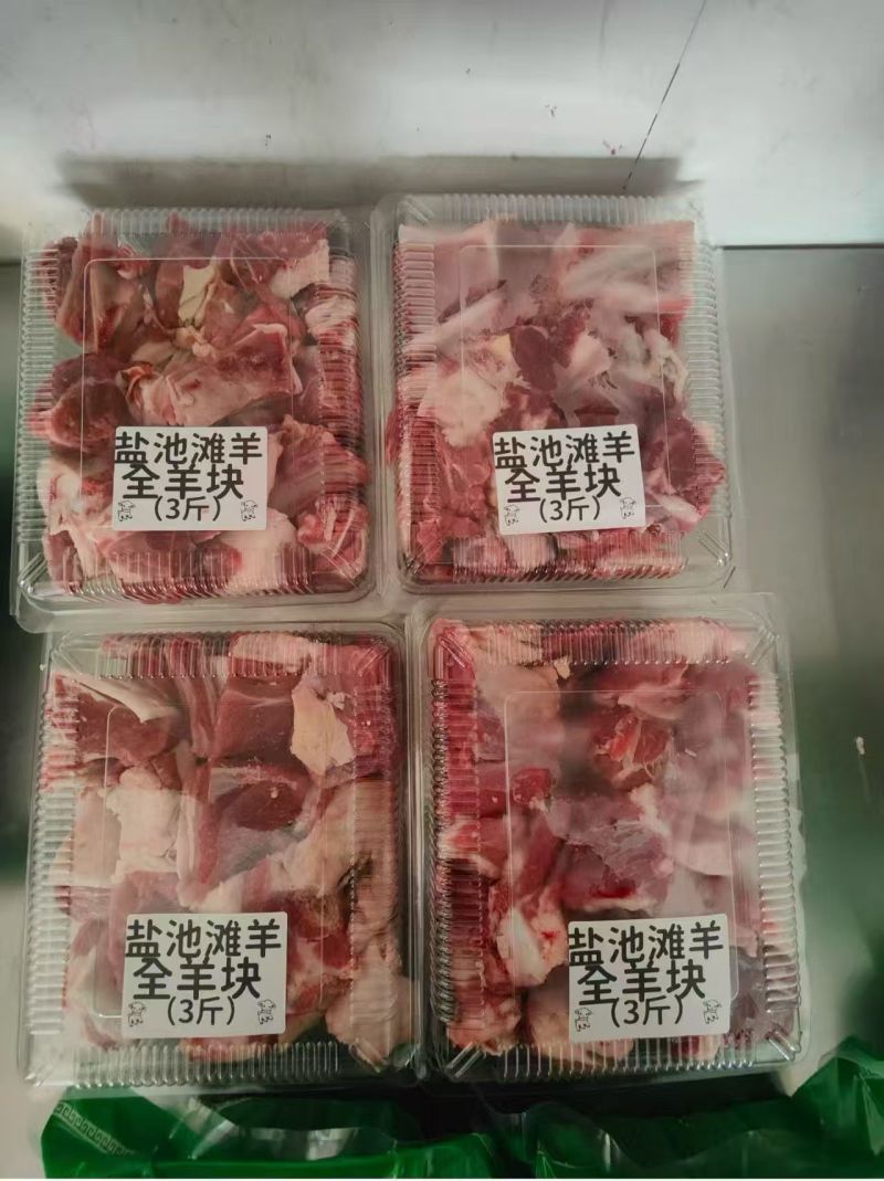 盐池滩羊