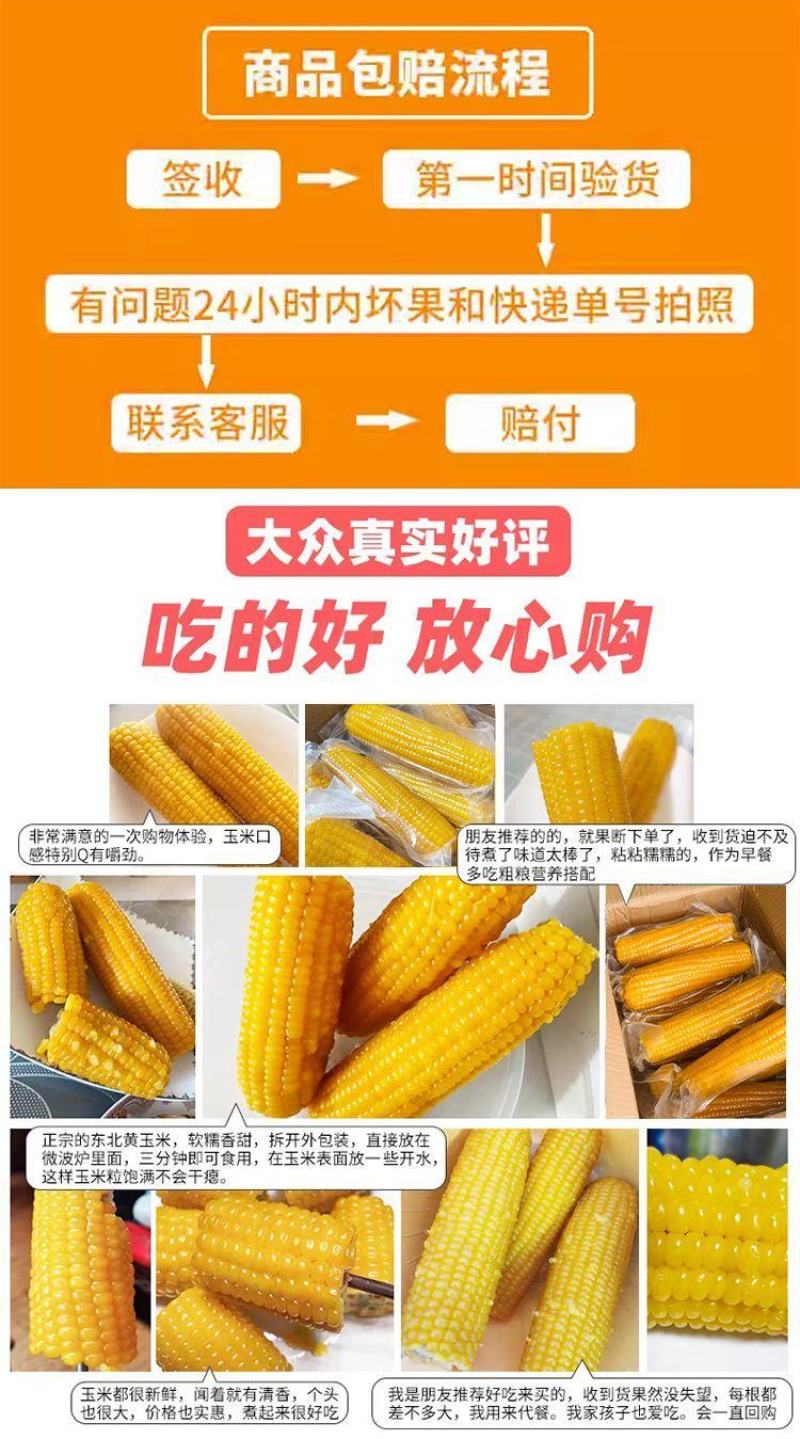 爱心助农东北黄糯玉米真空包装香甜软糯代餐早餐玉米棒玉米