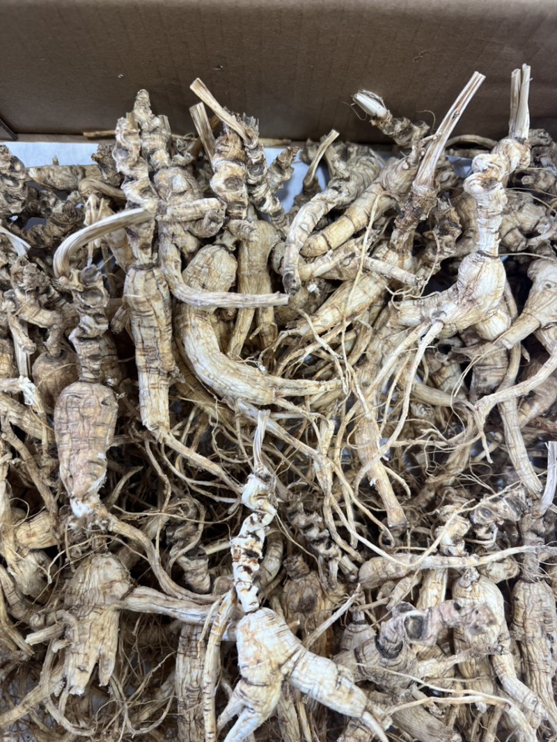 林下参老子货，打粉料，泡酒，煲汤经济实惠