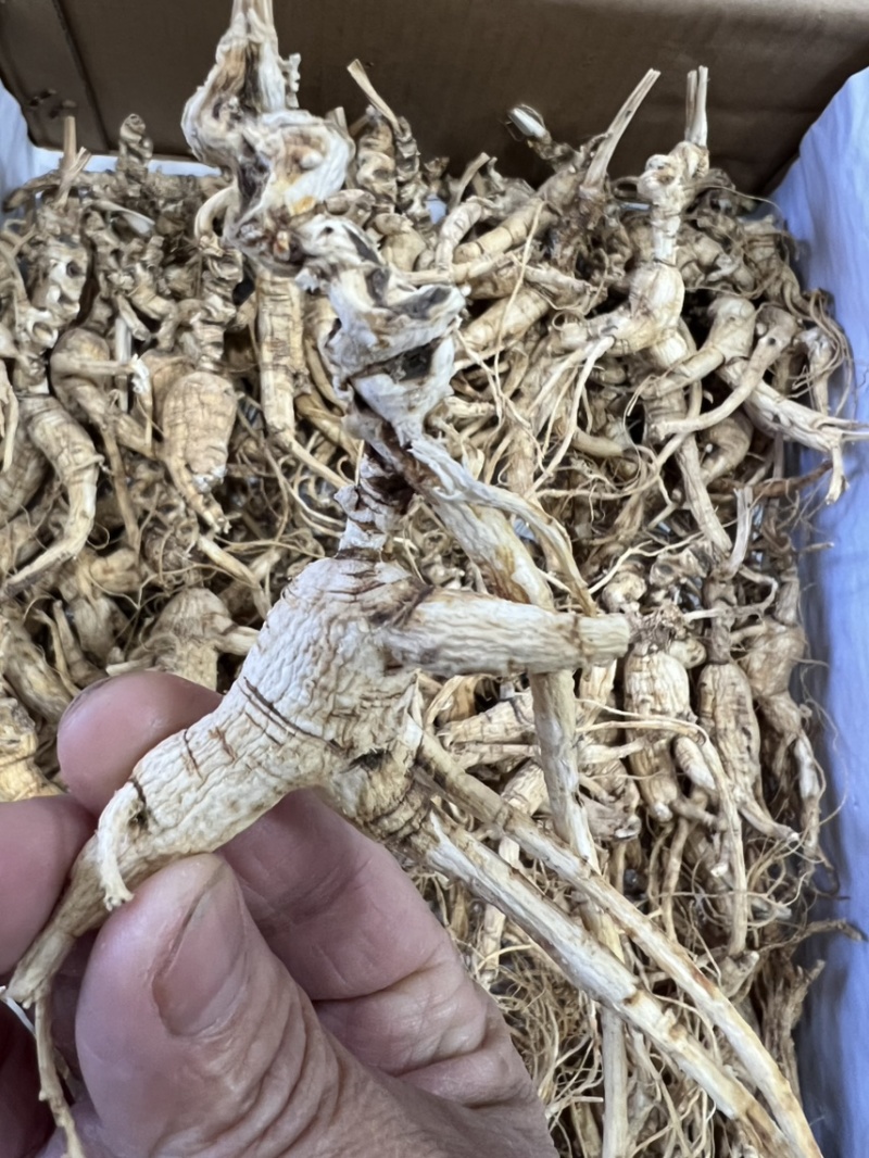 林下参老子货，打粉料，泡酒，煲汤经济实惠