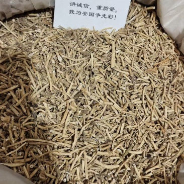 白前各种规格2斤包邮量大优惠