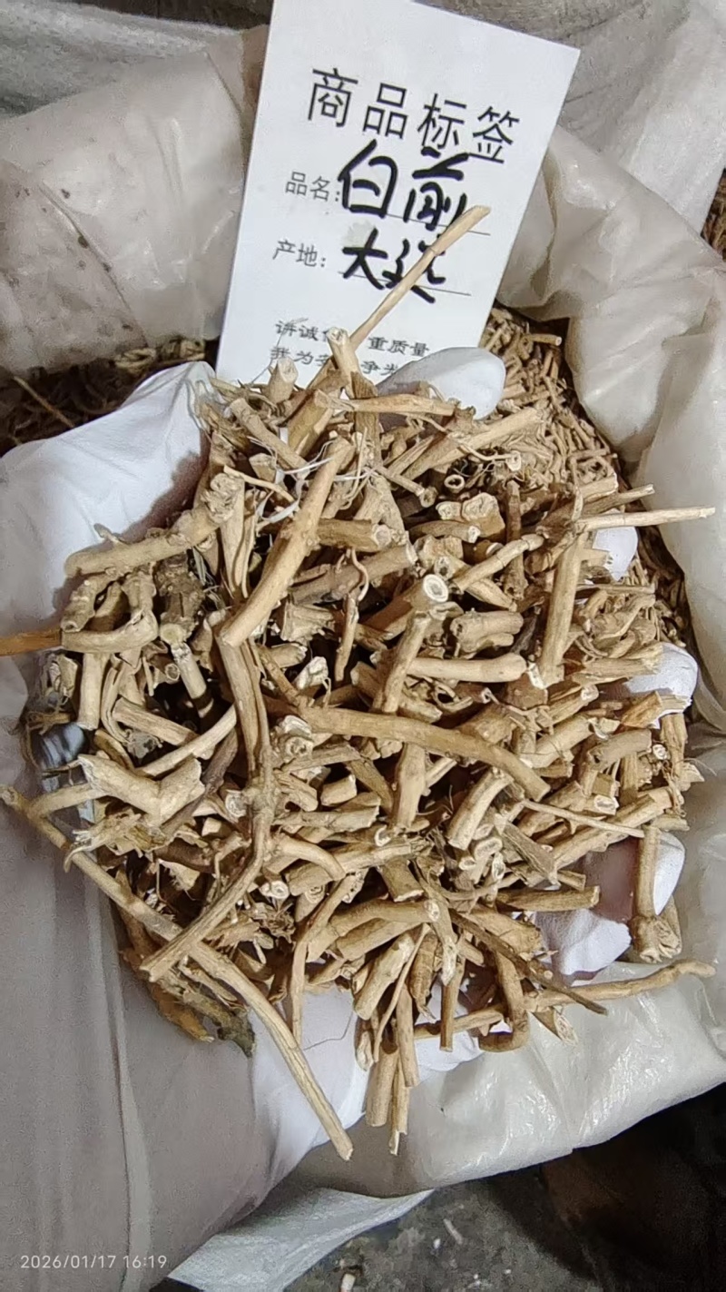 白前各种规格2斤包邮量大优惠
