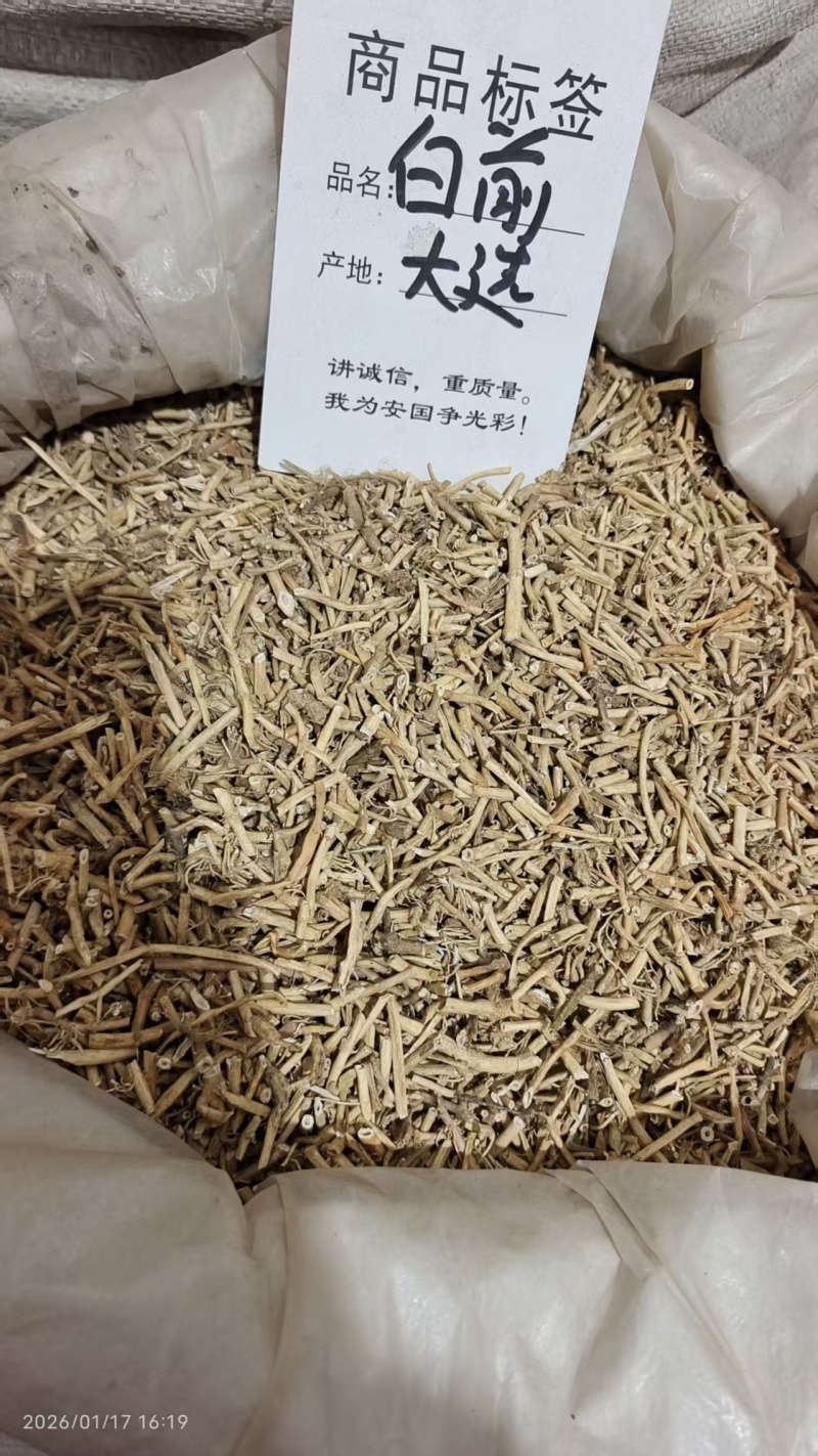 白前各种规格2斤包邮量大优惠