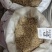 白前各种规格2斤包邮量大优惠