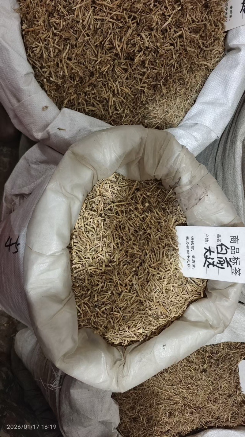 白前各种规格2斤包邮量大优惠