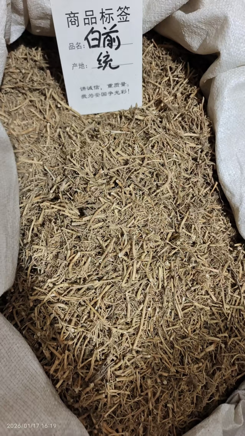 白前各种规格2斤包邮量大优惠