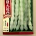 九粒白芸豆种子四季豆角架豆种籽肉厚嫩早熟