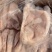 16-18个猪肚纯干