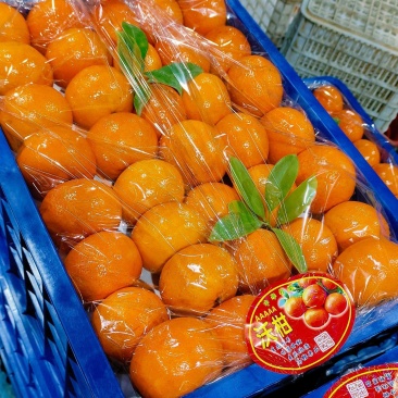 【年度大促】精品沃柑广西沃柑产地直发包上车致电价更优欢迎