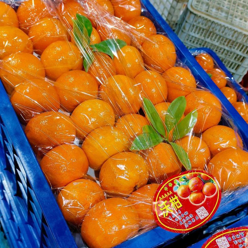 【年度大促】精品沃柑广西沃柑产地直发包上车致电价更优欢迎