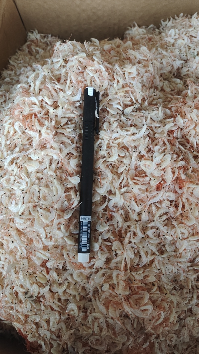 虾皮