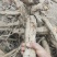 野生牛大力很年久，自然凉晒无硫干货