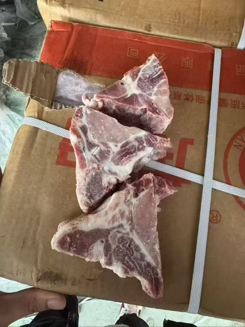 盛源多肉龙骨块
