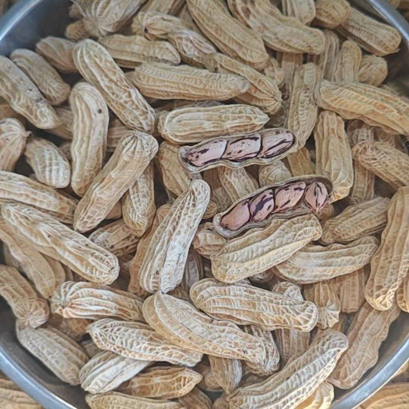 精品七彩花生货源充足对接全国质量保证产地供应欢迎咨询