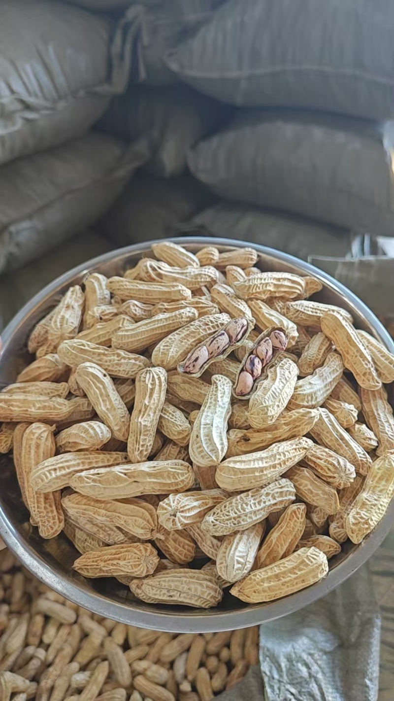 缅甸七彩花生货源充足量大从优对接全国欢迎咨询