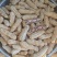 缅甸七彩花生货源充足量大从优对接全国欢迎咨询