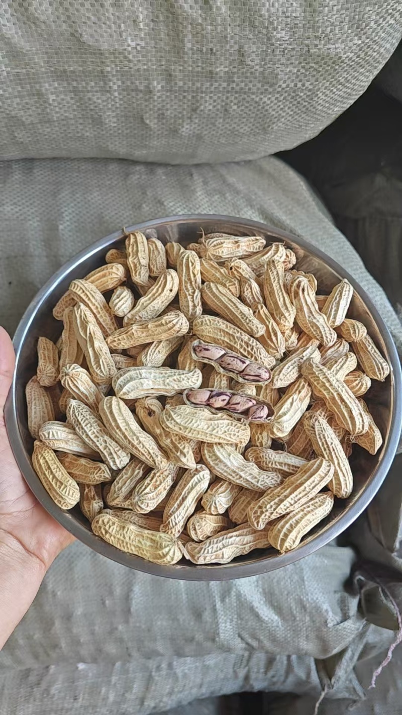 缅甸七彩花生货源充足量大从优对接全国欢迎咨询