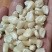 精品万糯2000，大量有货，常年有货