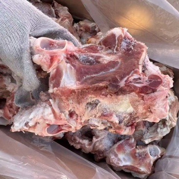 多肉羊胯骨