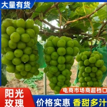 【精品】精品二级果15克左右，大量供应有要的联系欢迎