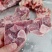 猪带腿腱骨块