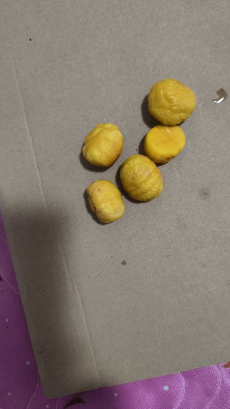 冰栗品质保证服务周到产地直发价格美丽欢迎咨询
