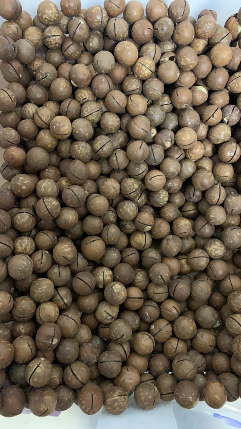 夏威夷果电商精品都有现货批发可一件代发