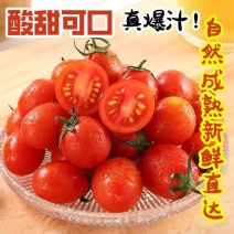409小柿子，大量上市，全国发货，欢迎进店。