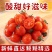 409小柿子大量上市，全国发货，欢迎进店沟通，产地直发