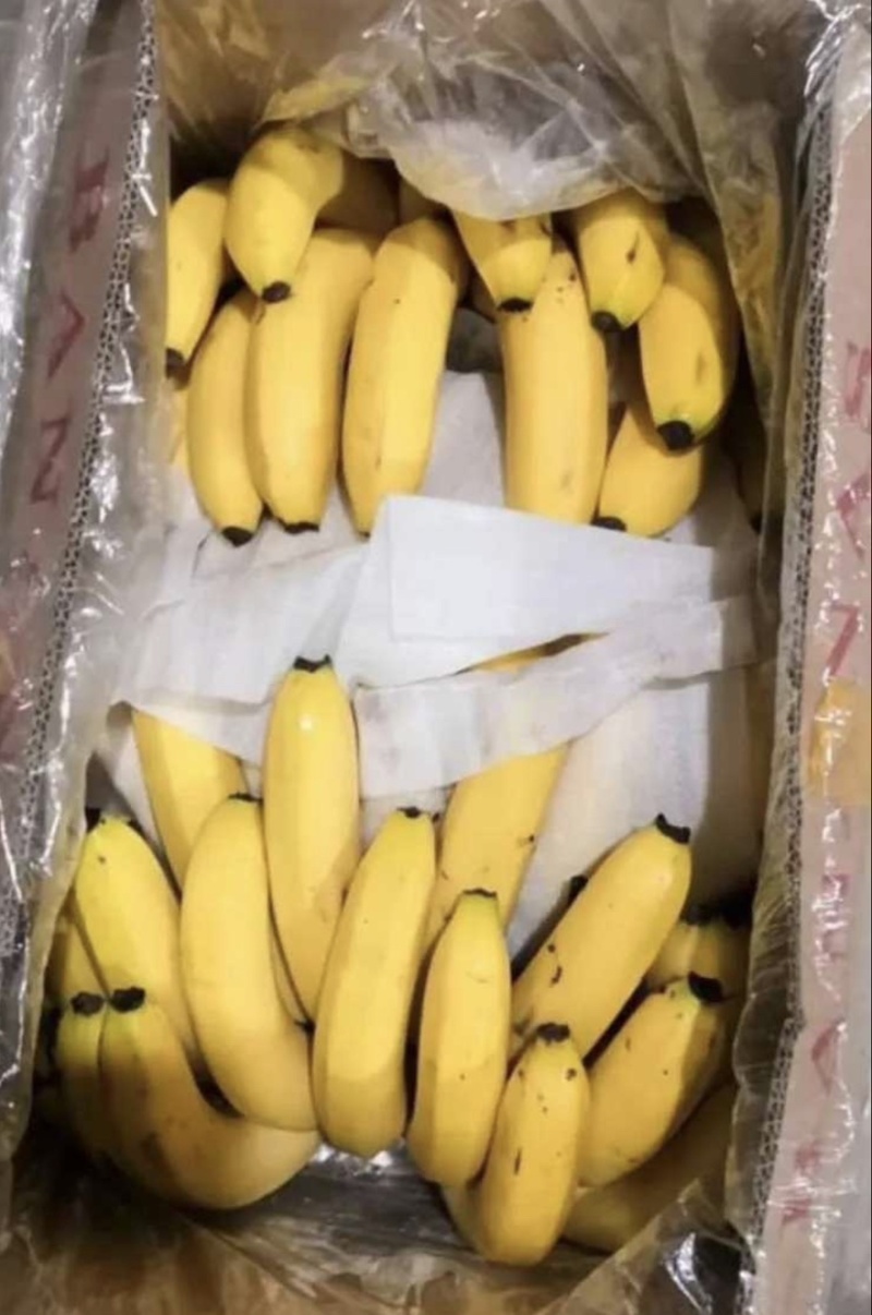 【特价推荐】上海精品香蕉产地直发品质保障量大从优可视频