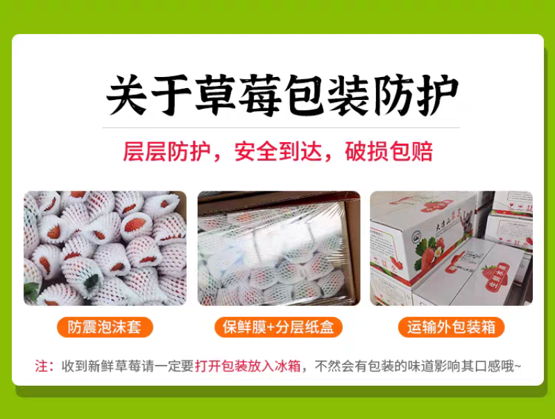 大凉山露天草莓上市了欢迎电商市场老板洽谈合作