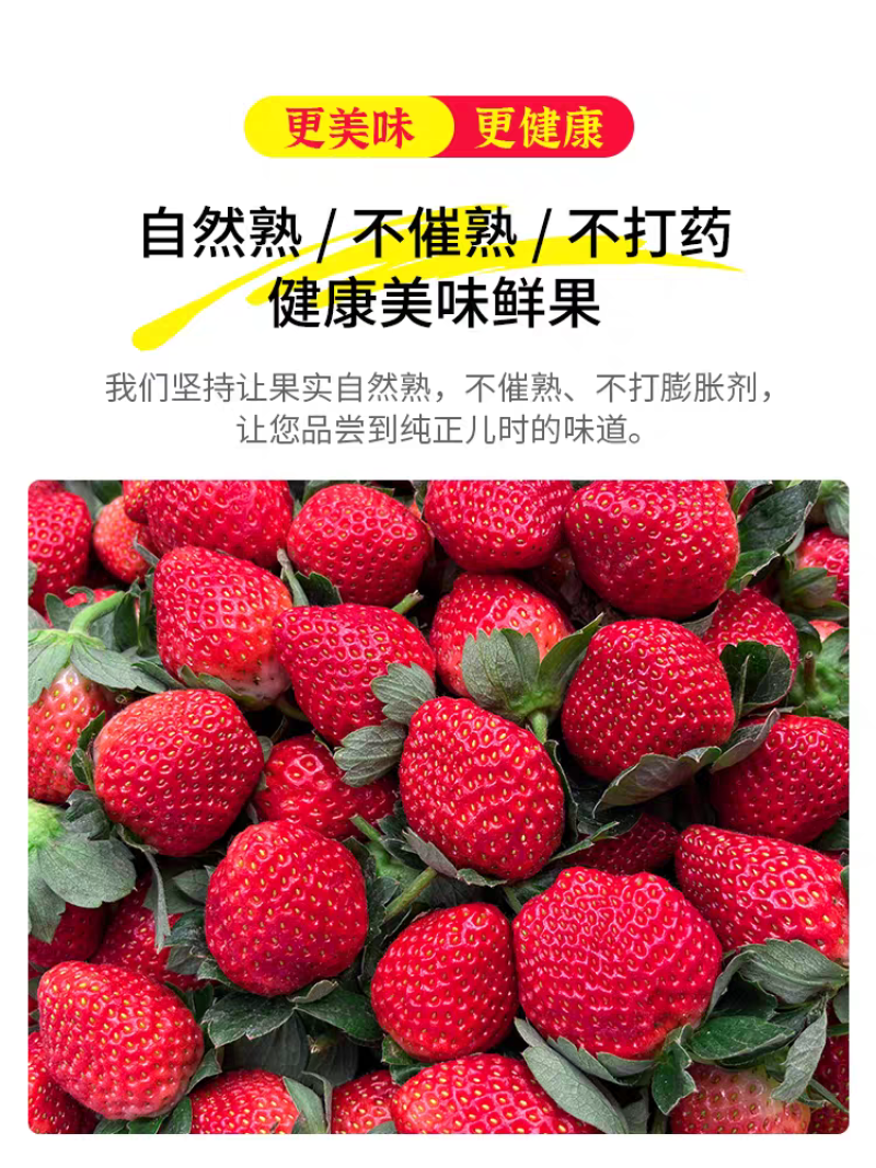 大凉山露天草莓上市了欢迎电商市场老板洽谈合作