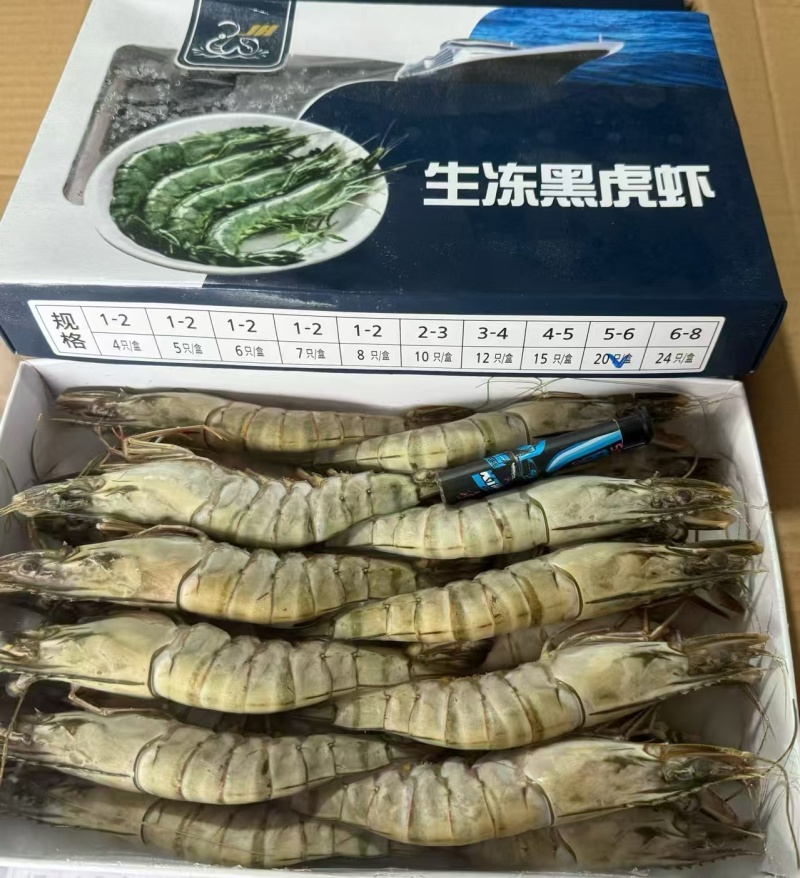 黑虎虾《也叫竹节虾，斑竹虾，草虾，开边蒸黑虎虾，红烧盐焗