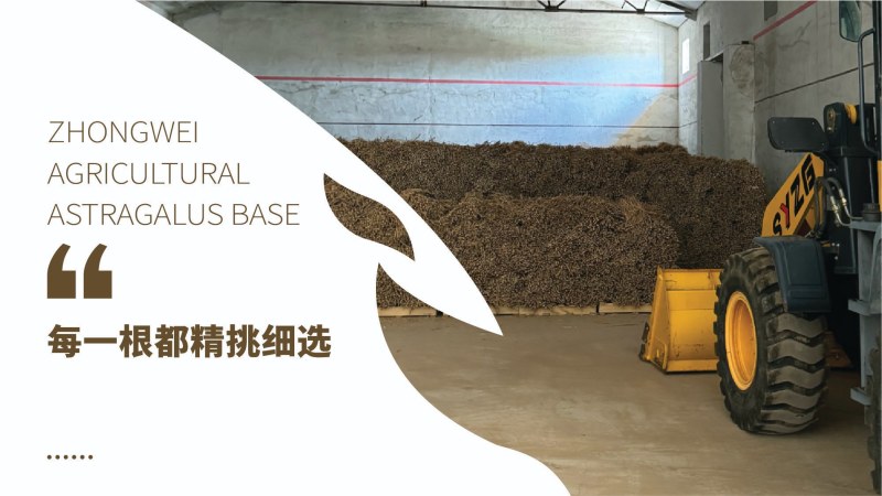 内蒙古武川黄芪切片精选品质无薰硫泡水炖肉佳品