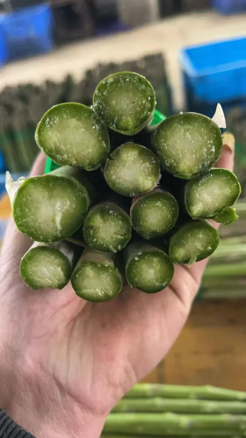 芦笋新鲜芦笋现挖现发规格齐全产地直供欢迎来电