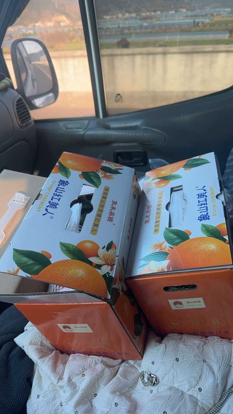 精品红美人柑橘，产地直发，保质保量，可对接电商商超等
