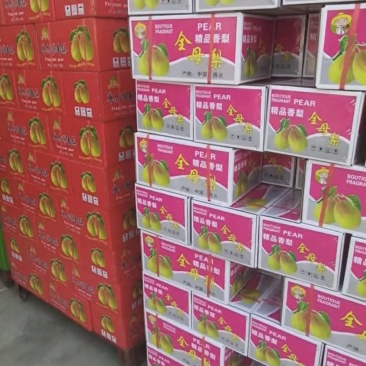 大量供应香梨，每天现加工质量保障