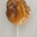 鸡宝，精品，重30克，大山中老母鸡囊中之物，含铁量高
