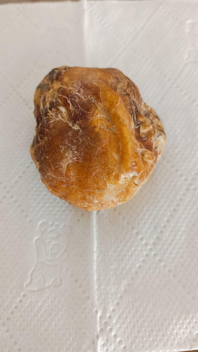 鸡宝，精品，重30克，大山中老母鸡囊中之物，含铁量高
