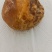 鸡宝，精品，重30克，大山中老母鸡囊中之物，含铁量高