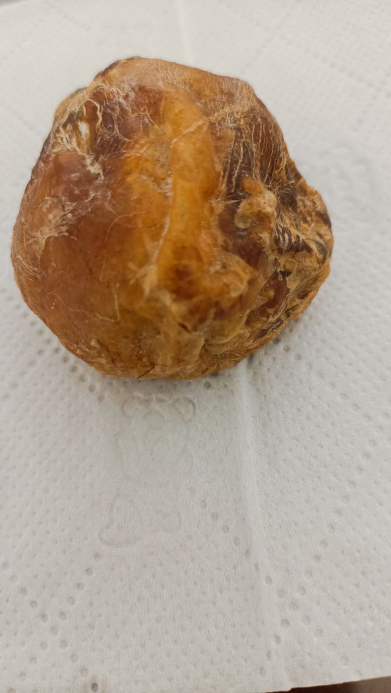 鸡宝，精品，重30克，大山中老母鸡囊中之物，含铁量高